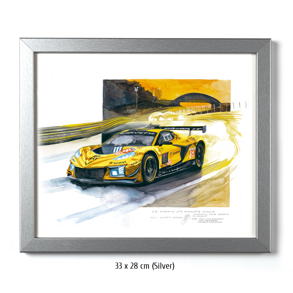 #1381 'Chevrolet Corvette Z06 GT3.R #81'