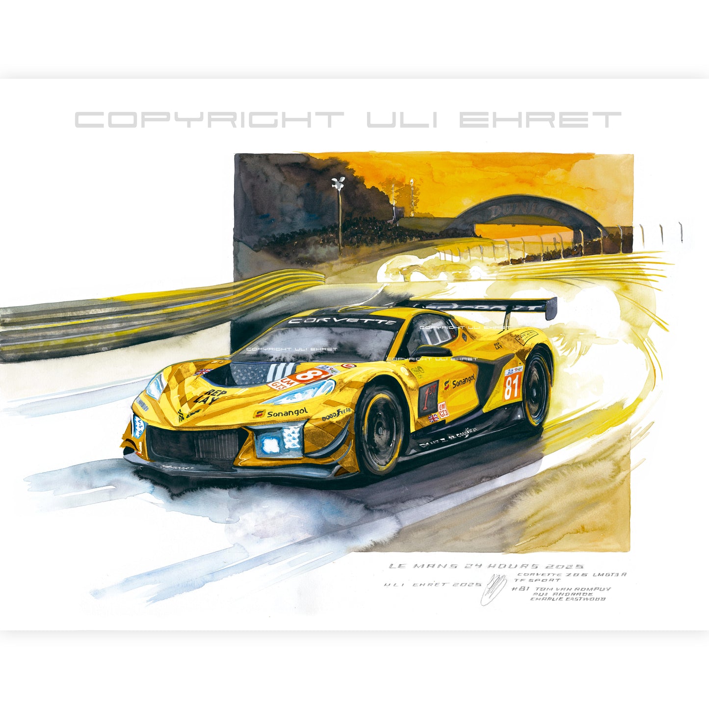 #1381 'Chevrolet Corvette Z06 GT3.R #81'