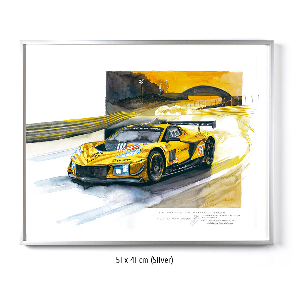 #1381 'Chevrolet Corvette Z06 GT3.R #81'