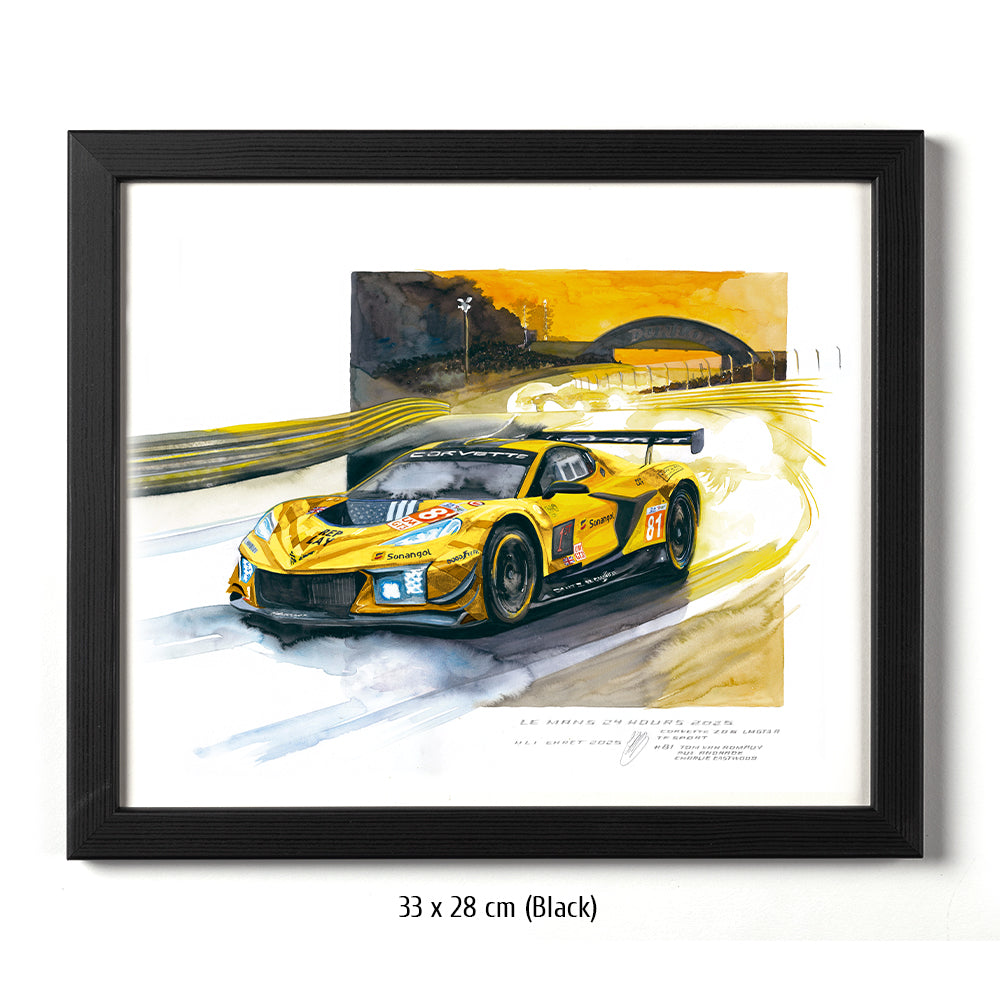 #1381 'Chevrolet Corvette Z06 GT3.R #81'