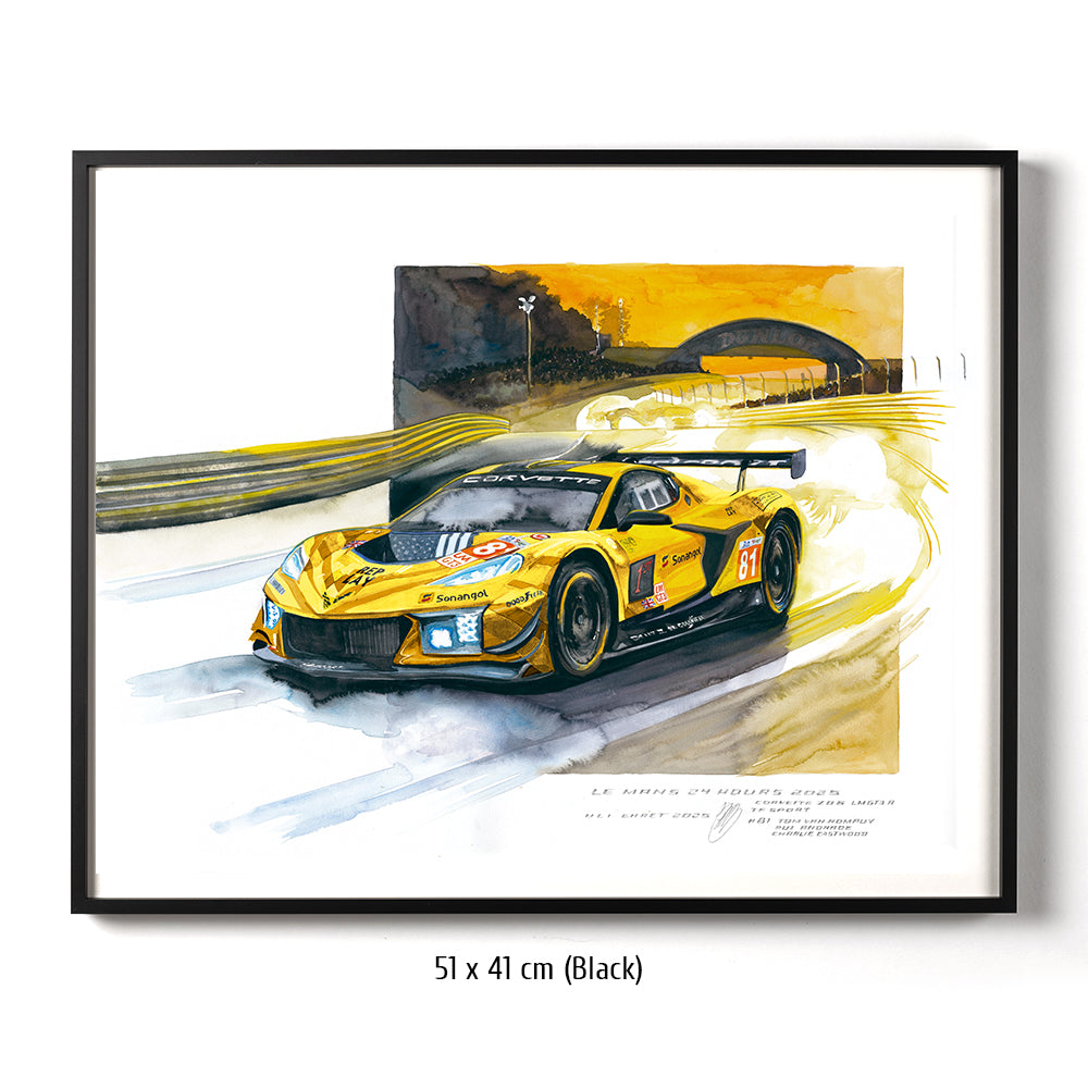 #1381 'Chevrolet Corvette Z06 GT3.R #81'
