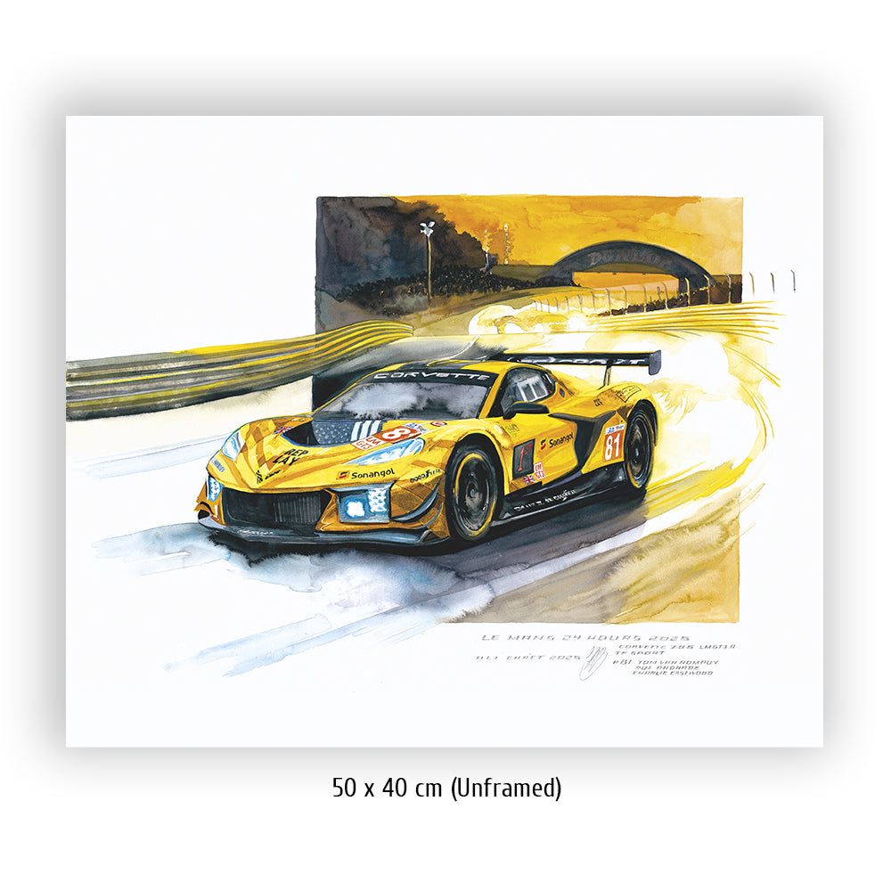 #1381 'Chevrolet Corvette Z06 GT3.R #81'