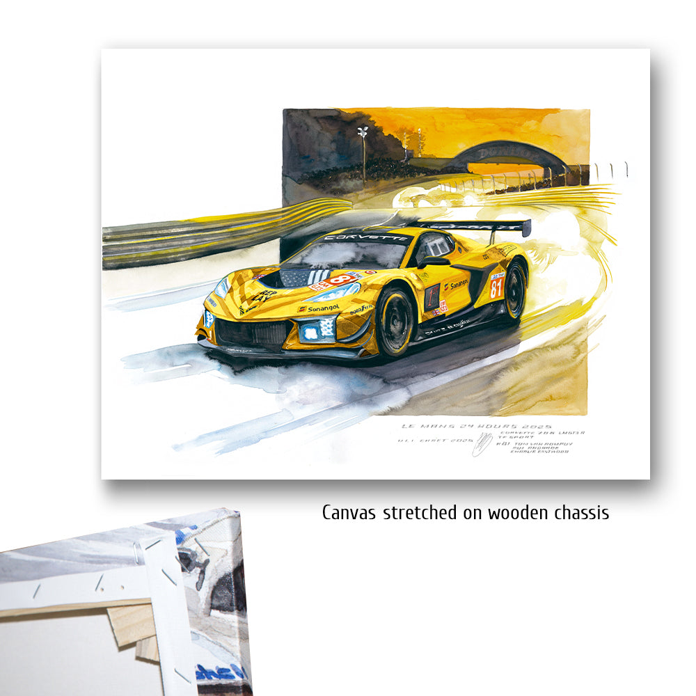 #1381 'Chevrolet Corvette Z06 GT3.R #81'