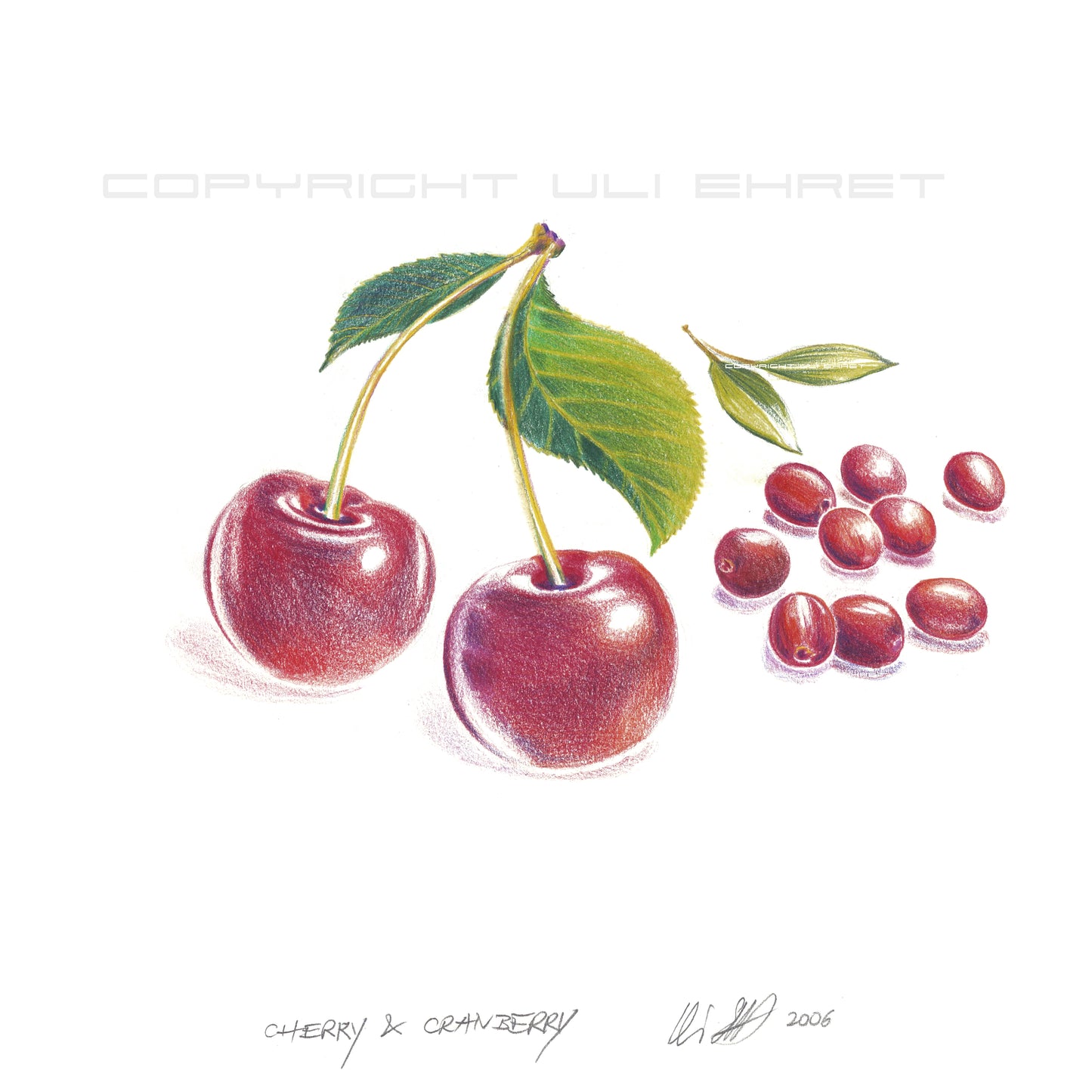 #0917 ‚Sherry and Cranberry‘