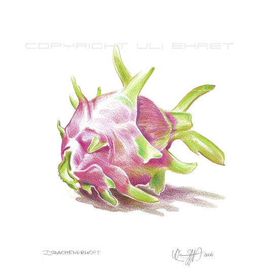 #0918  "Drachenfrucht"