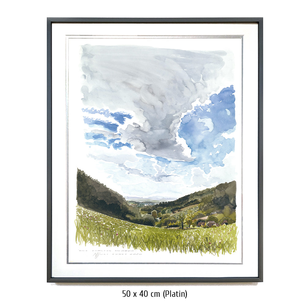#0923  'One endless Meadow'