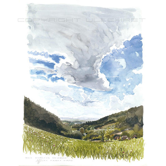 #0923  'One endless Meadow'