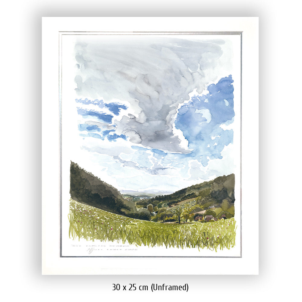 #0923  'One endless Meadow'