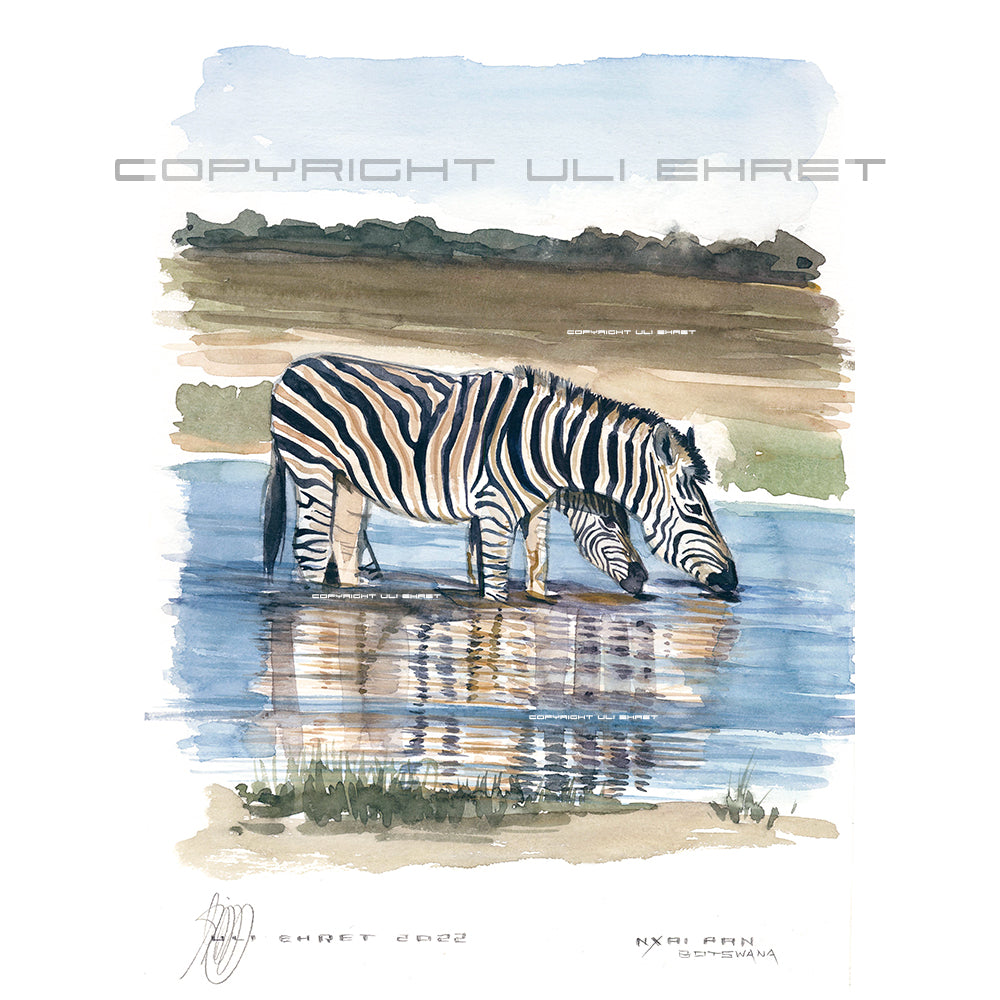 #1015 'Nxai Pan Zebra'