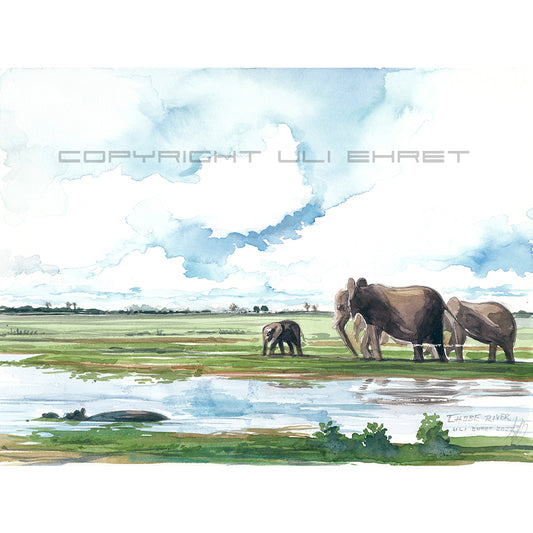 #1017 'Chobe River'