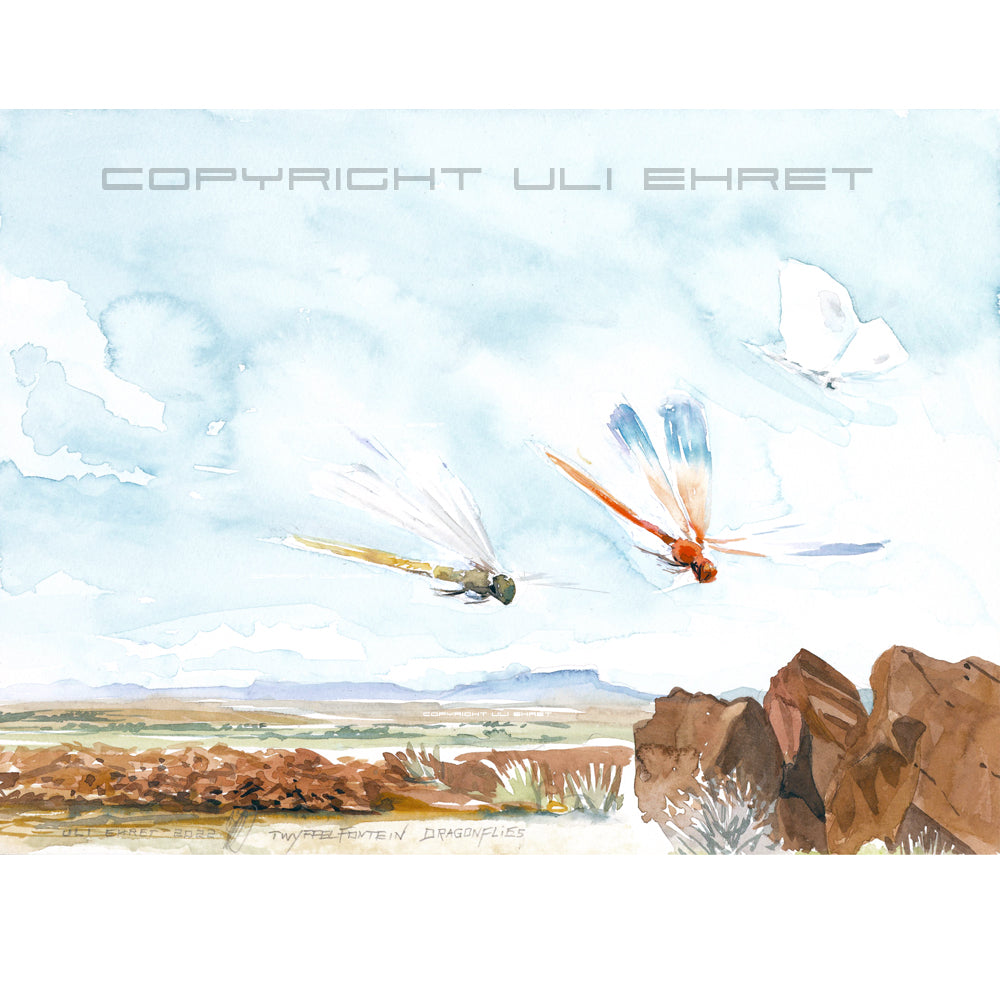 #1028 'Twyffelfontein Dragonflies'