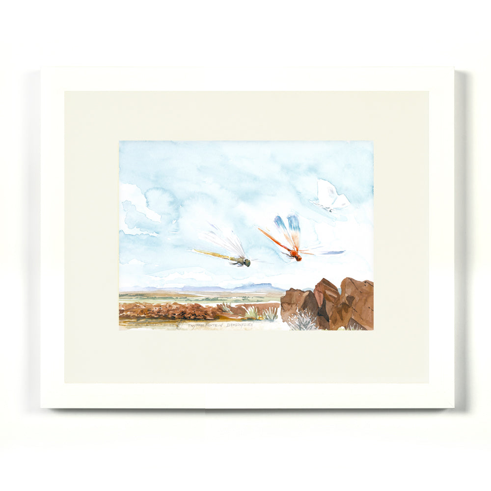#1028 'Twyffelfontein Dragonflies'