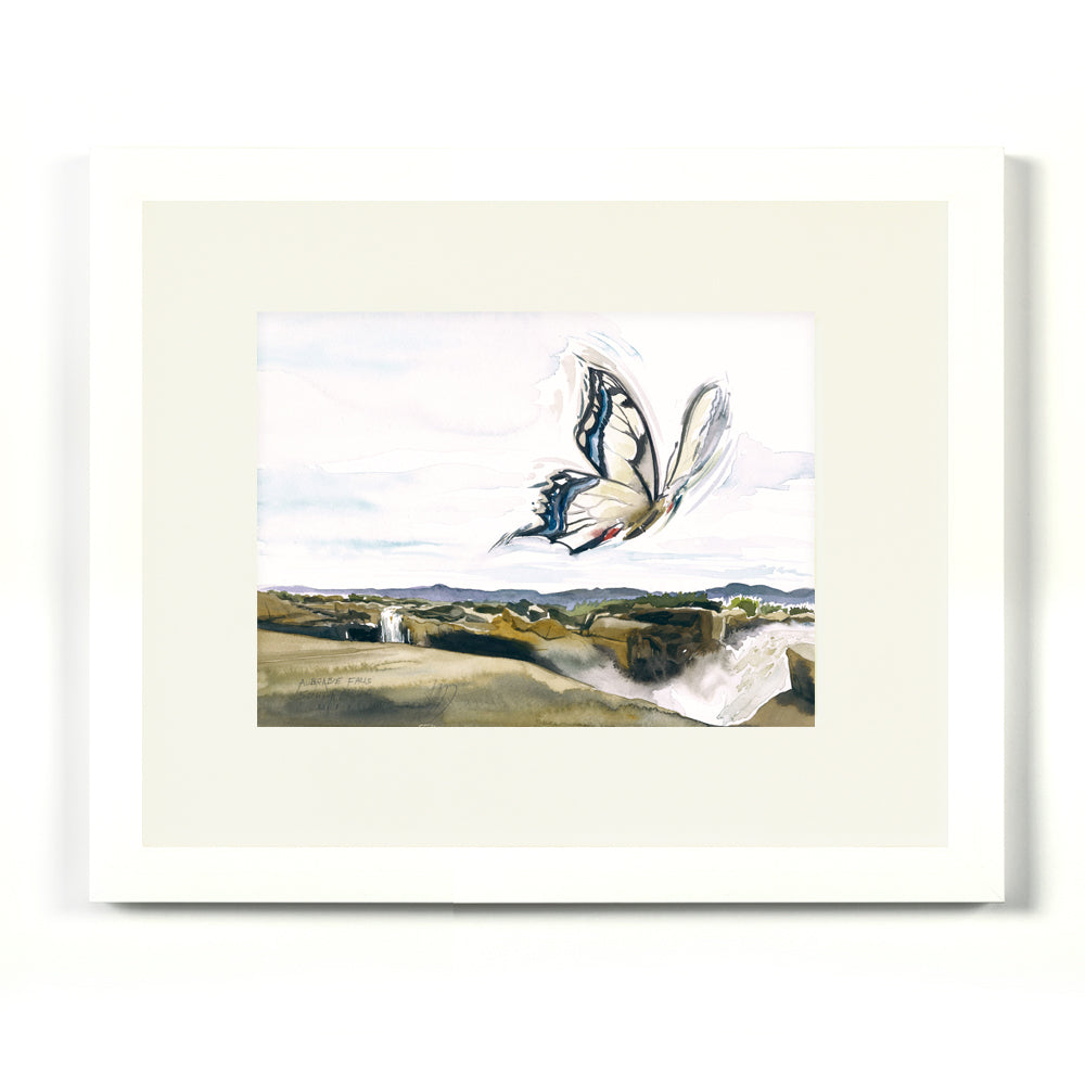#1031 'Augrabie Falls'
