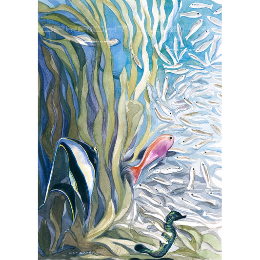 #1033 'Capetown Aquarium'
