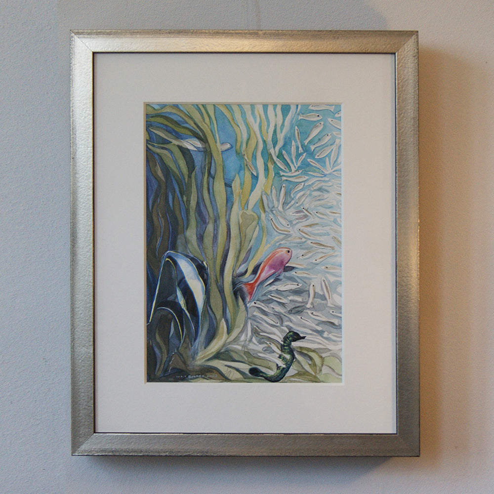 #1033 'Capetown Aquarium'