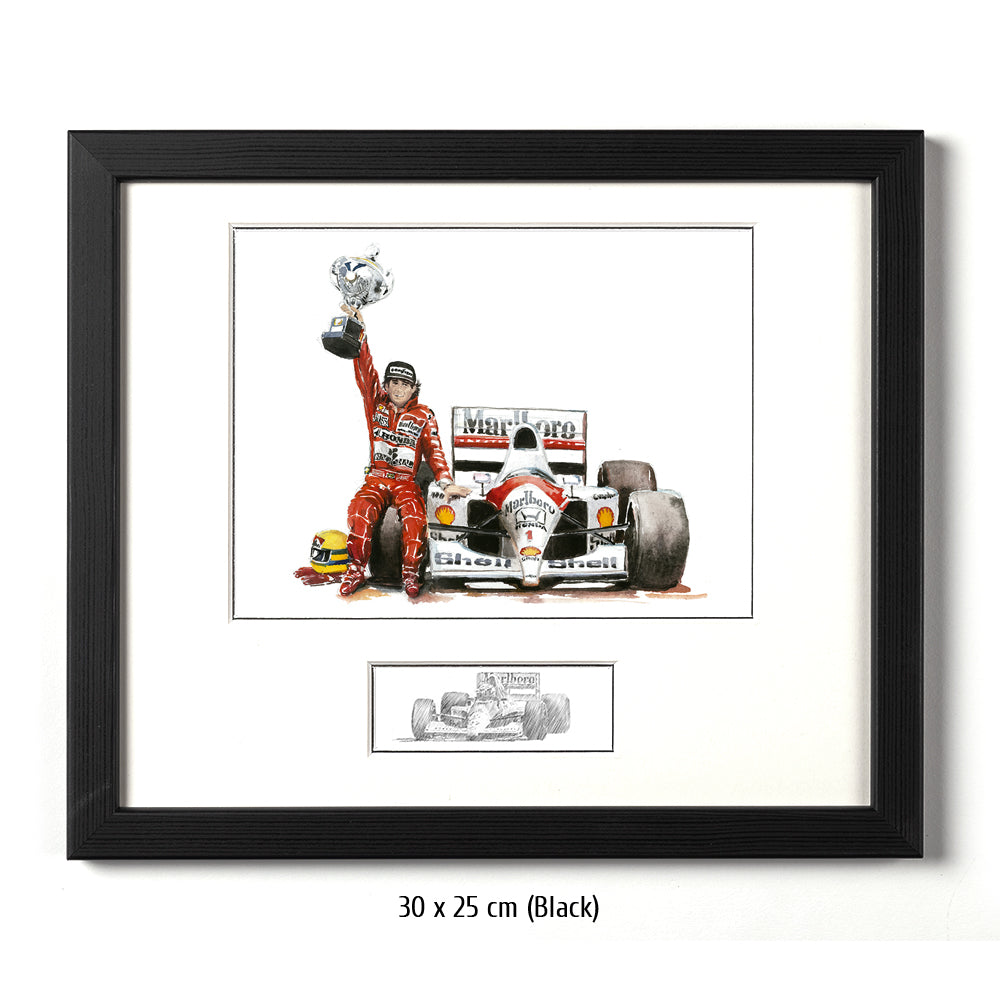 #0211 Ayrton Senna, 'Paixao Imbativel'
