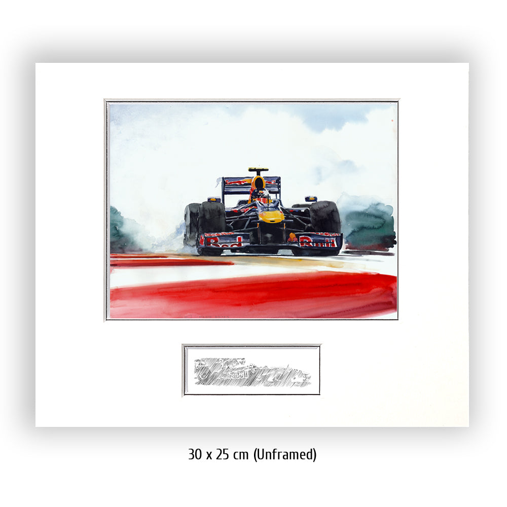 #0287 Sebastian Vettels Red Bull Renault F1 2010