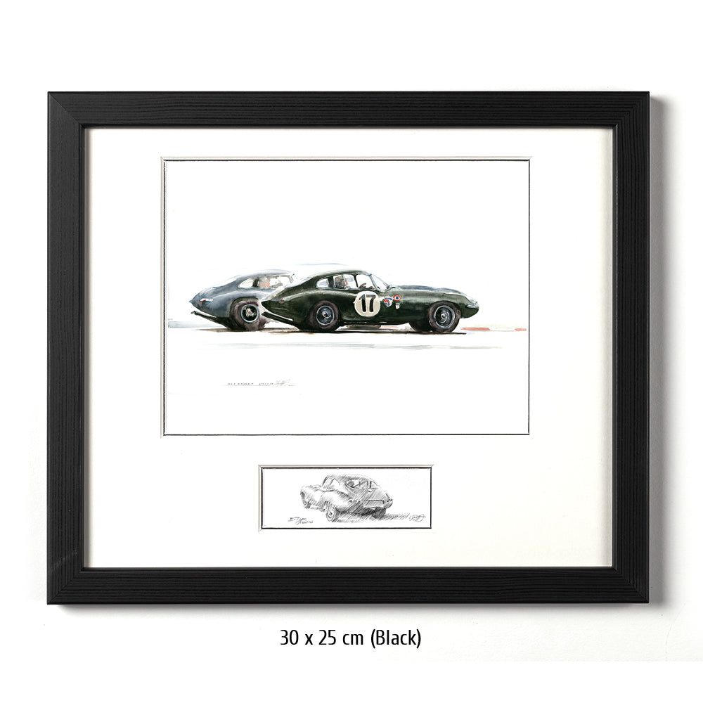 #0313  'Jaguar E-Types'
