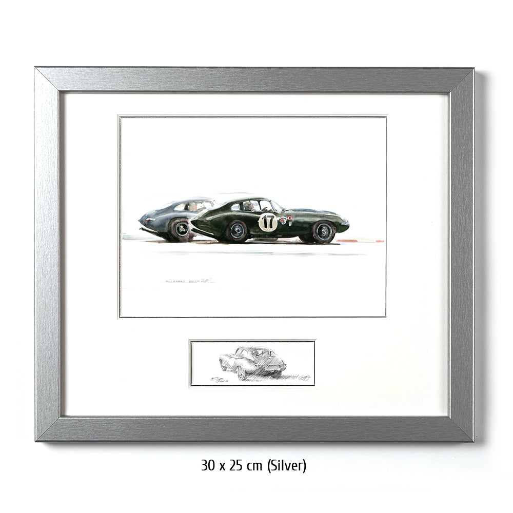 #0313  'Jaguar E-Types'