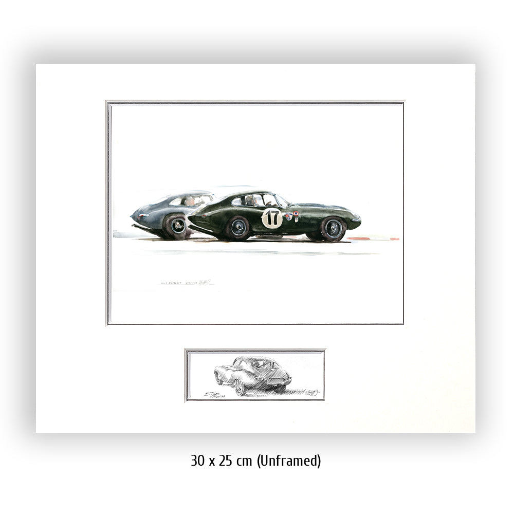#0313  'Jaguar E-Types'