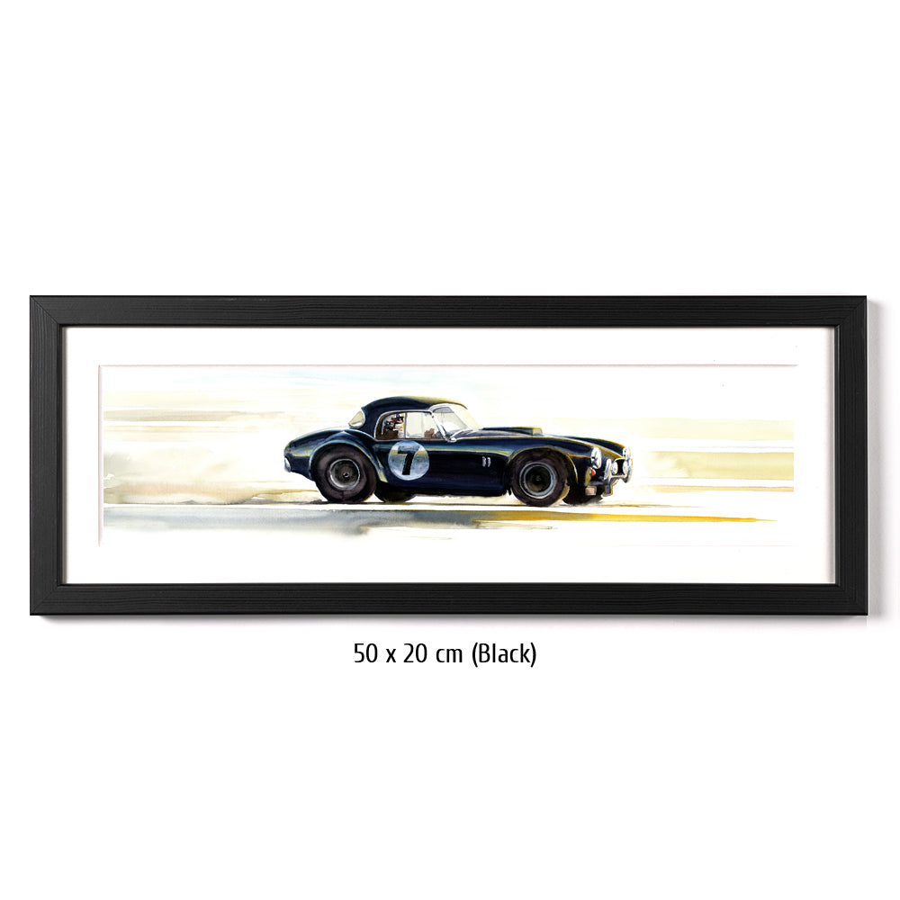 #0406 XS 'AC Cobra - California here I come'