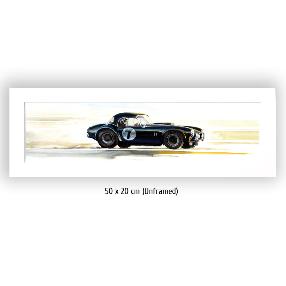 #0406 XS 'AC Cobra - California here I come'