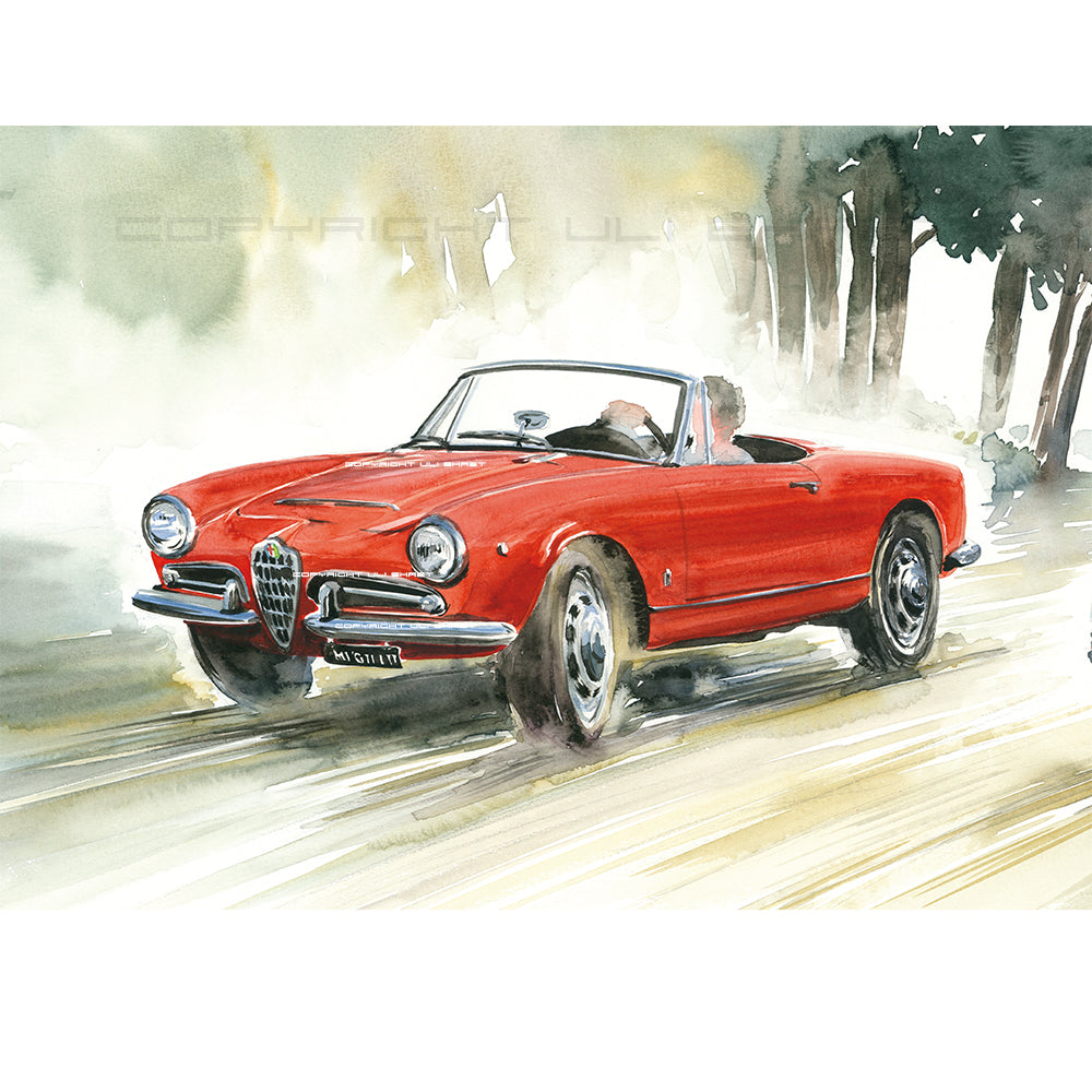 #0430 A "Alfa Romeo Giulia Spider"