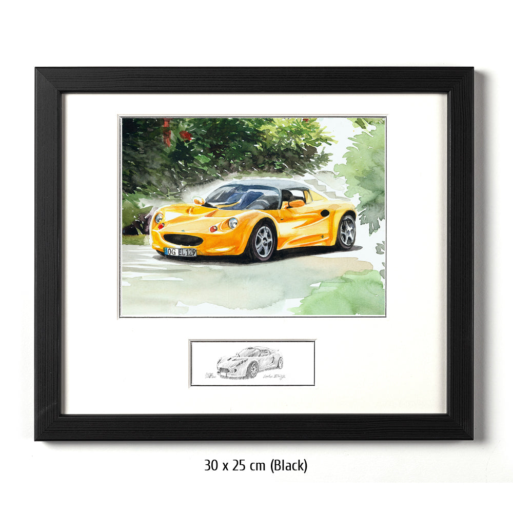 #0450 Une 'Lotus Elise'