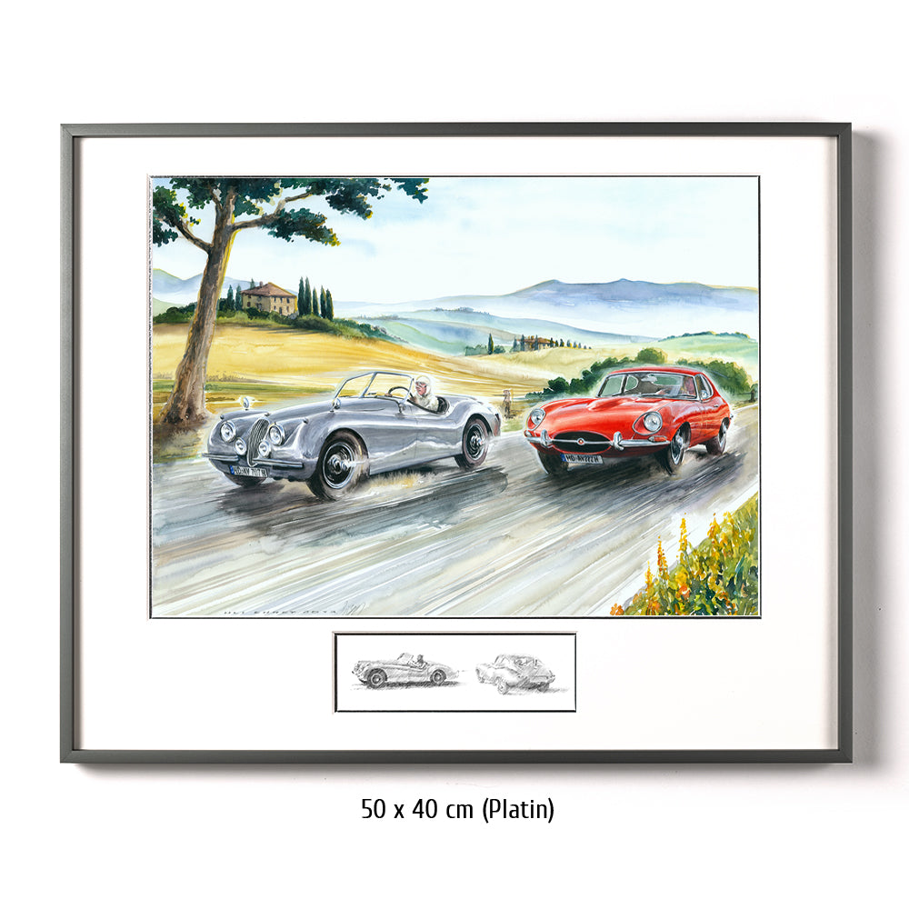 #0479 Jaguar E Type & Jaguar XK120