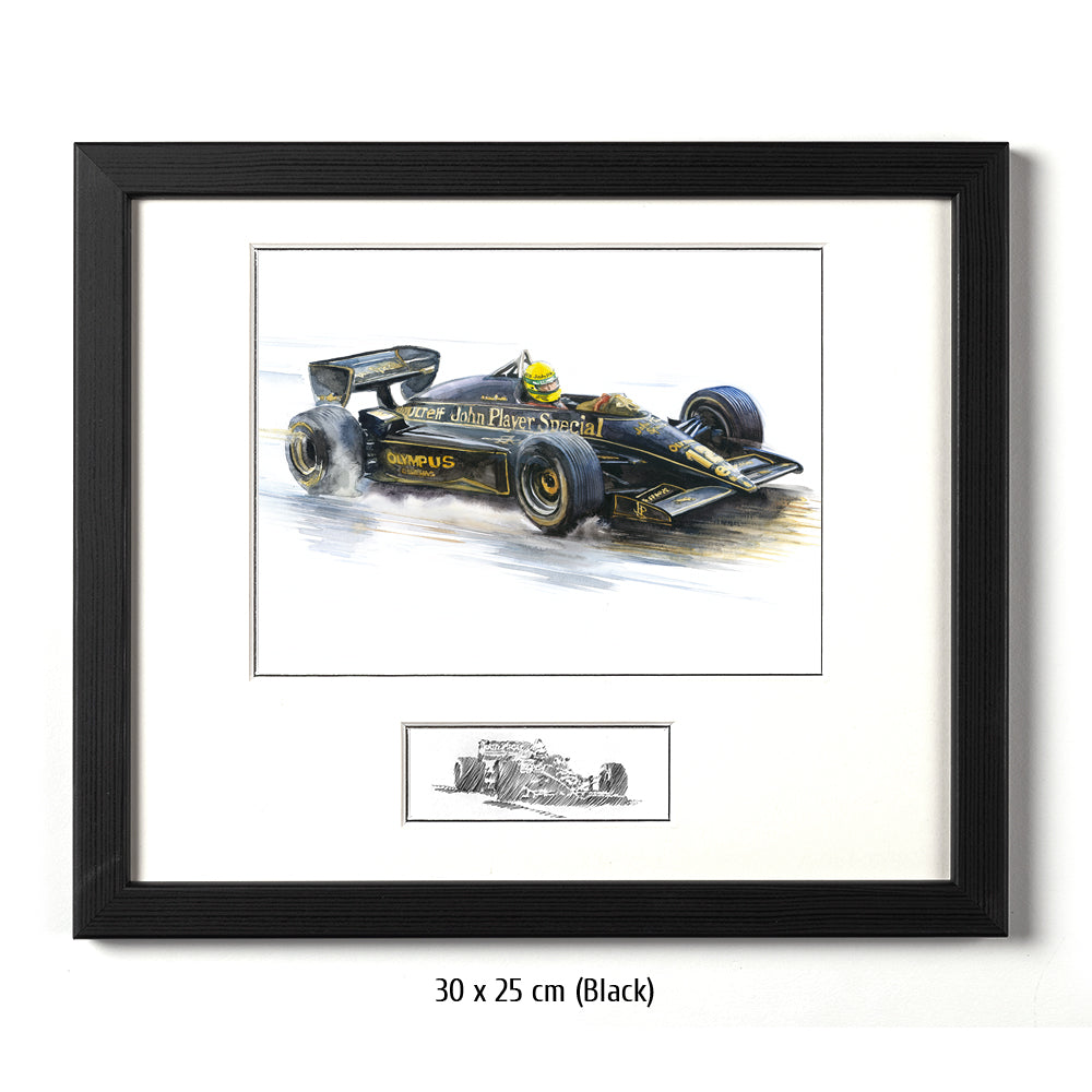 #0491 'Ayrton Senna'