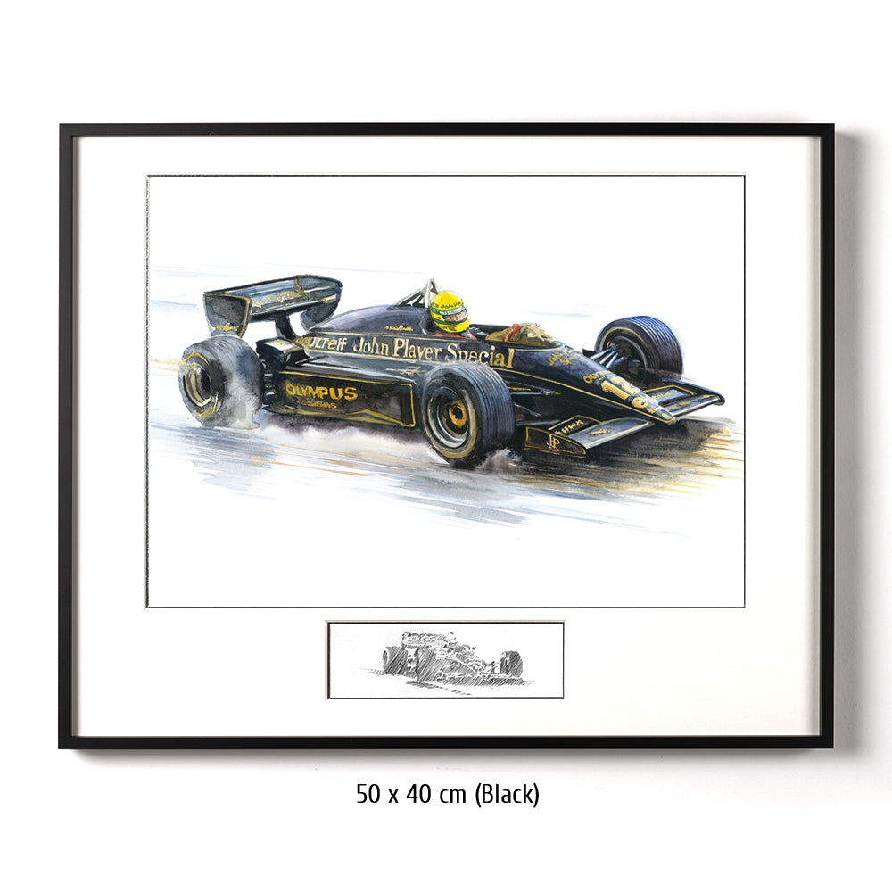 #0491 'Ayrton Senna'
