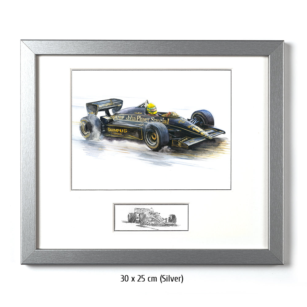 #0491 'Ayrton Senna'