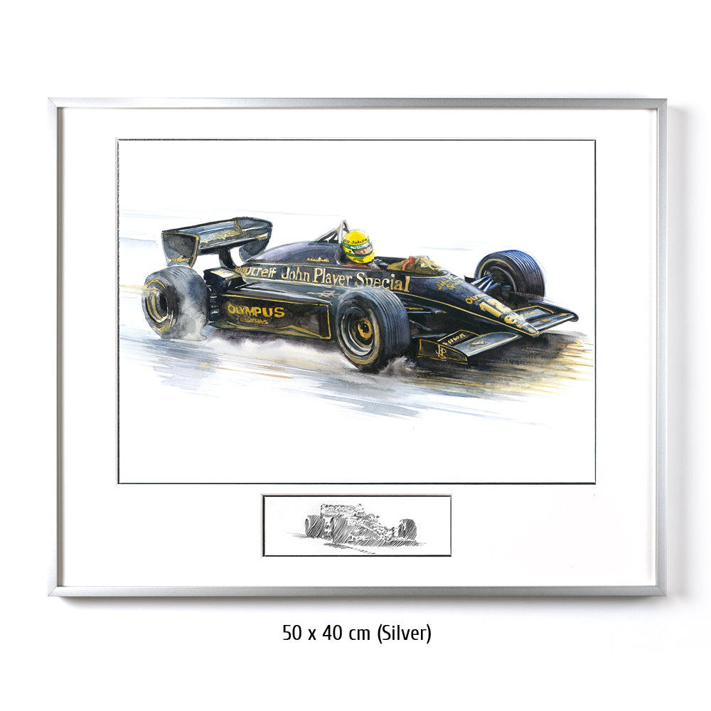 #0491 'Ayrton Senna'