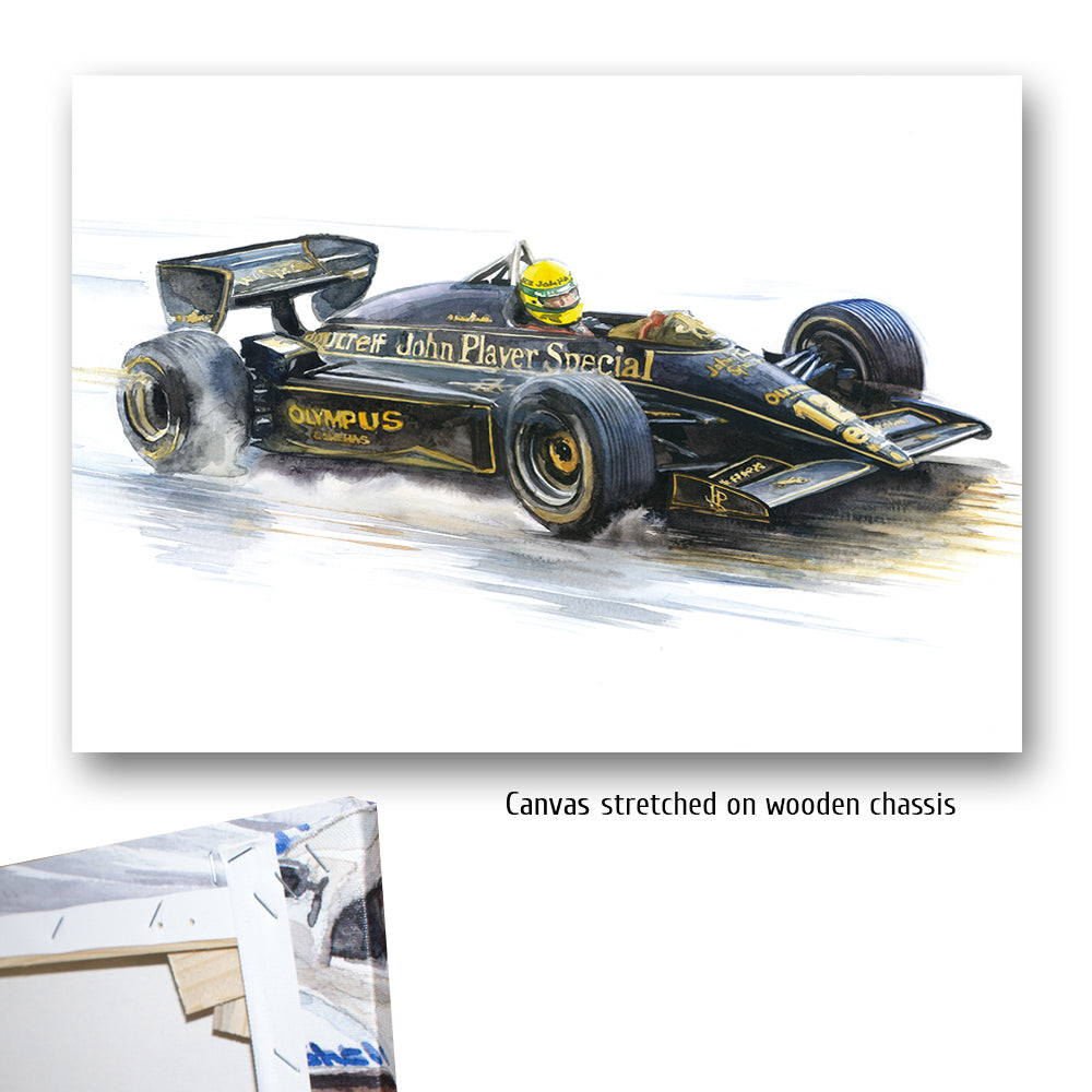 #0491 'Ayrton Senna'