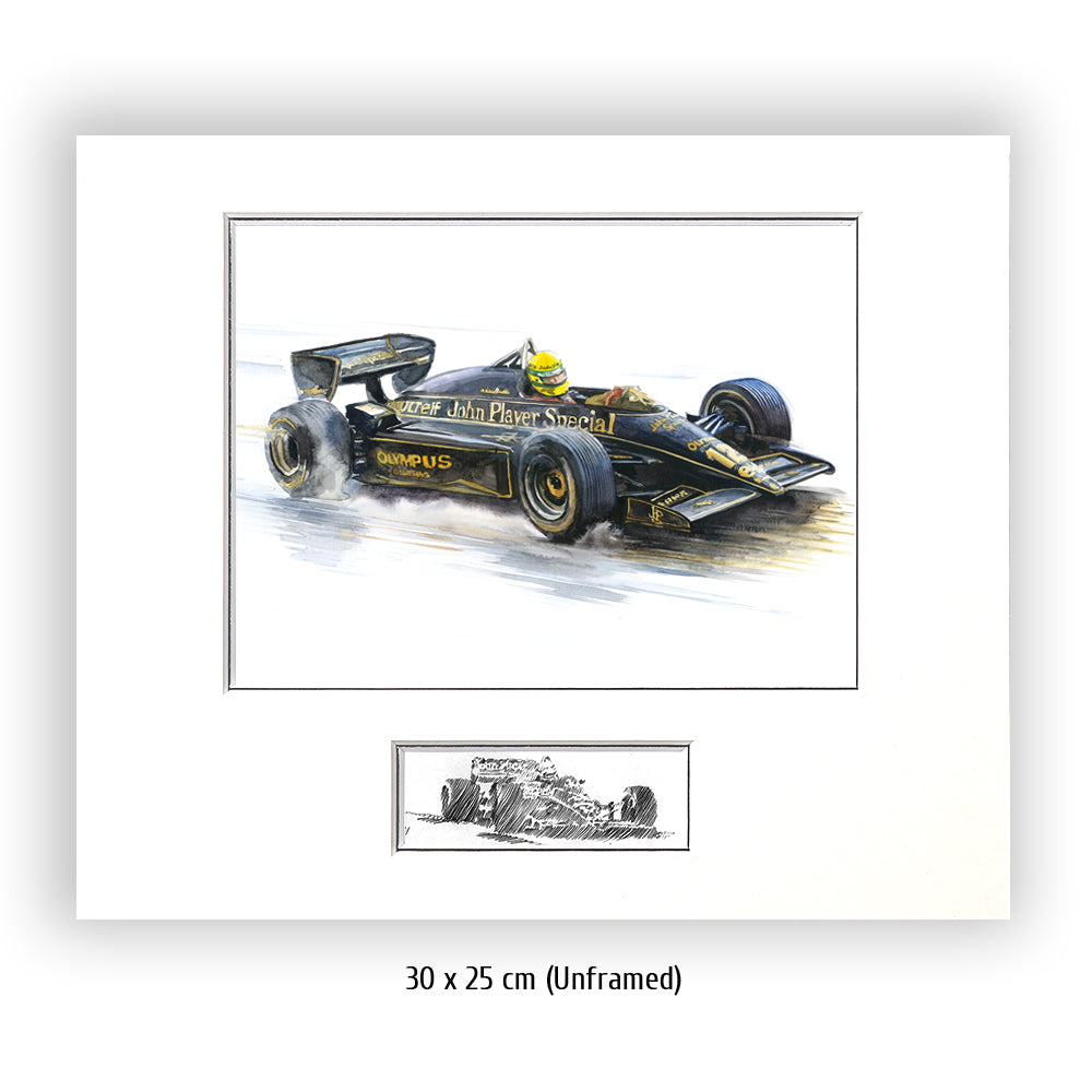 #0491 Ayrton Senna
