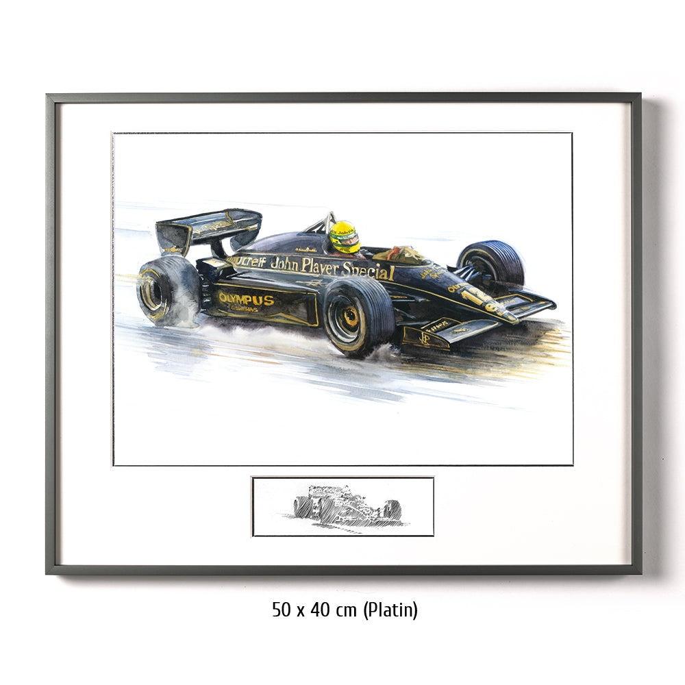 #0491 'Ayrton Senna'