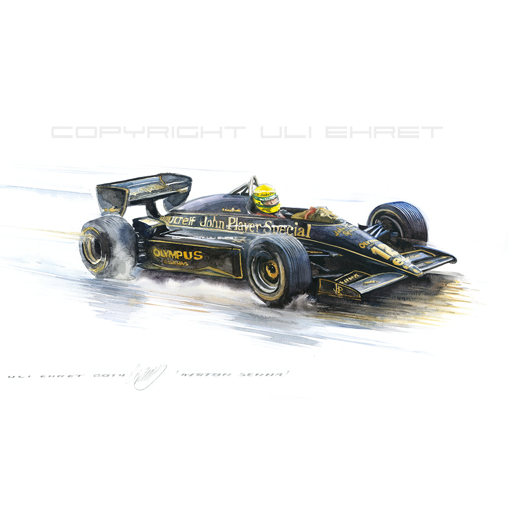 #0491 'Ayrton Senna'