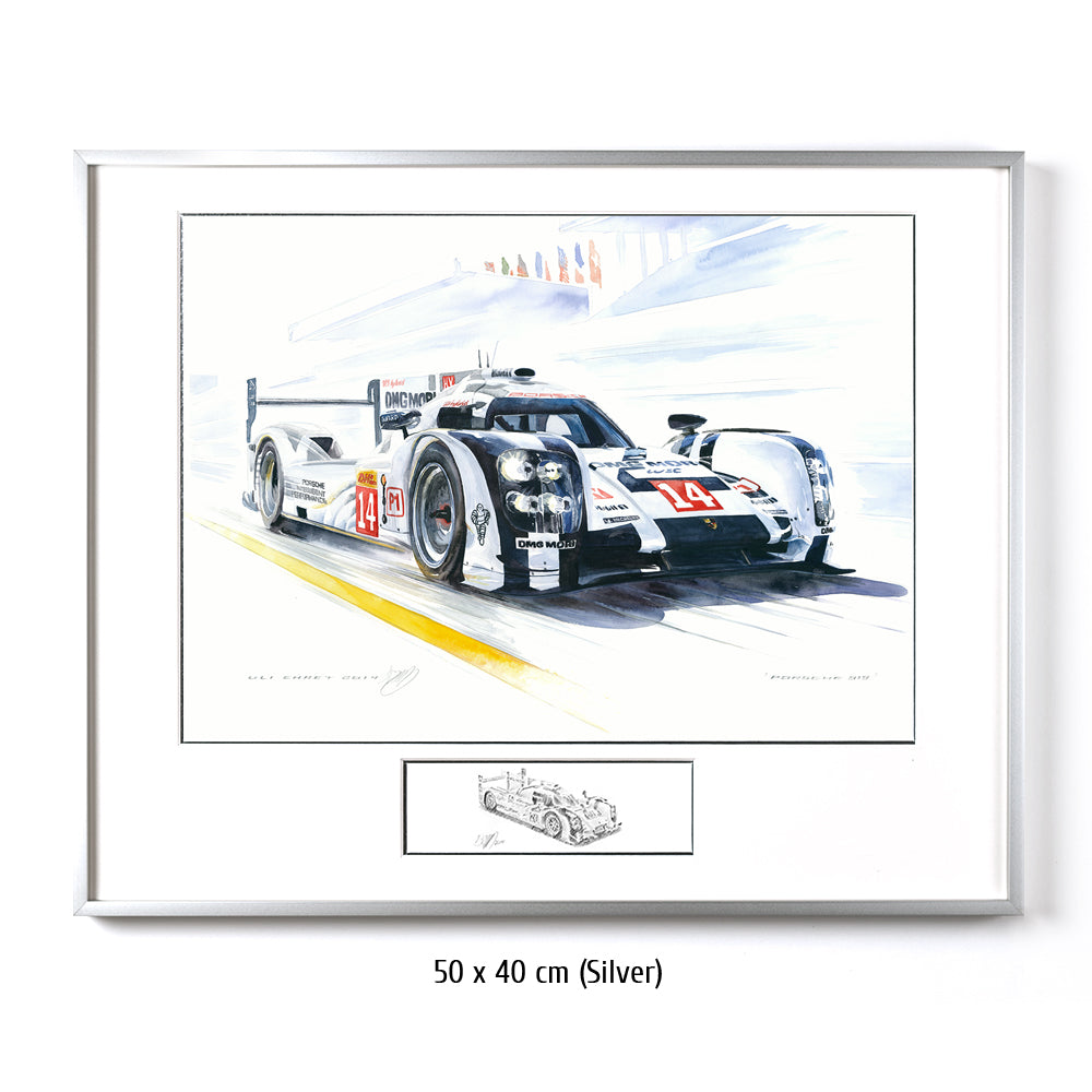 #0495B Porsche 919 LMP1