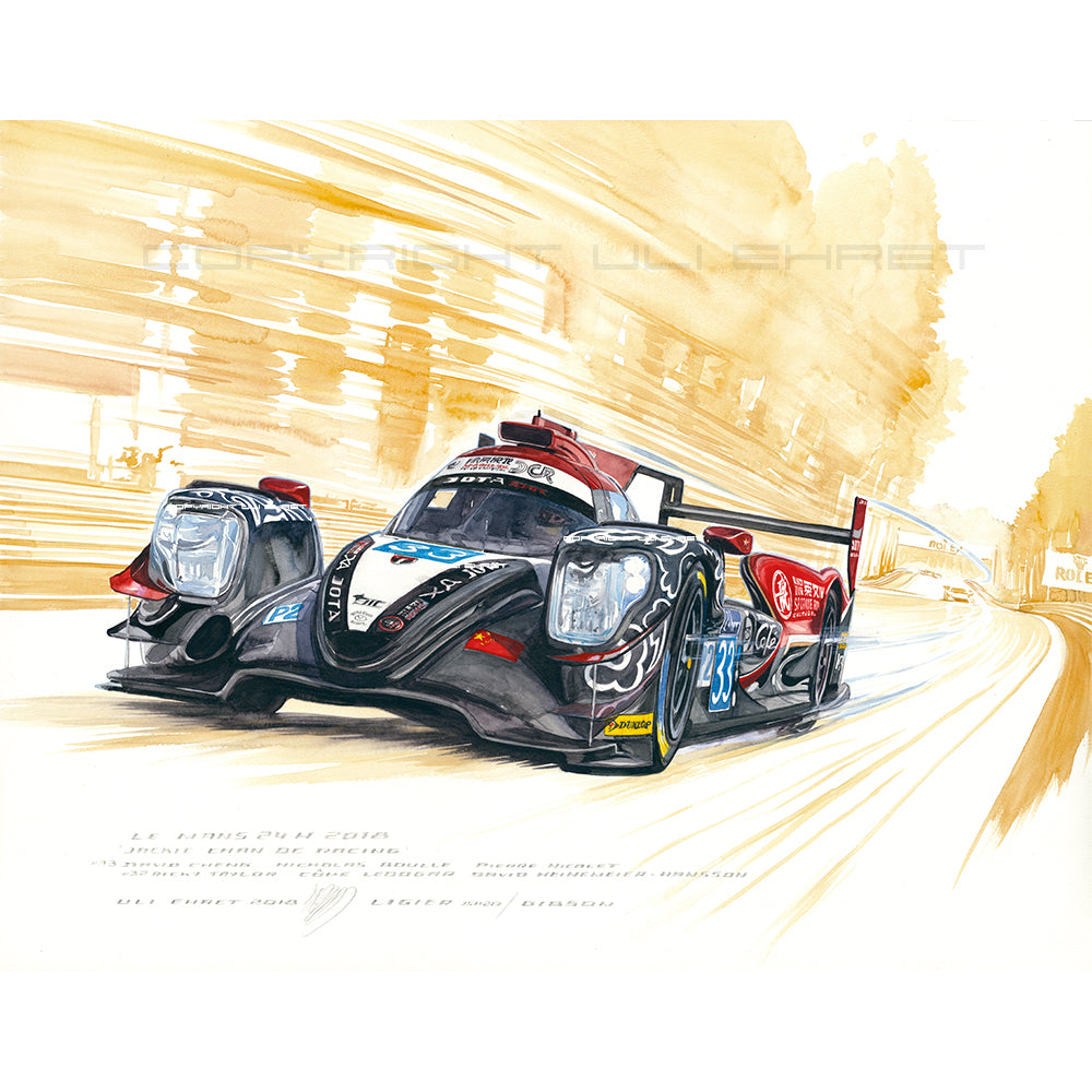 #0738 OR 'Jackie Chan DC Racing #33'
