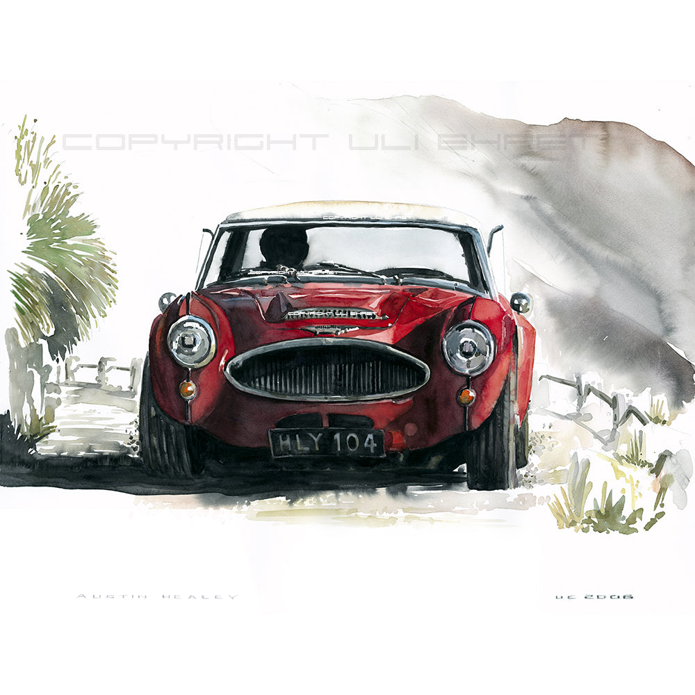 #0075 Austin Healey 3000