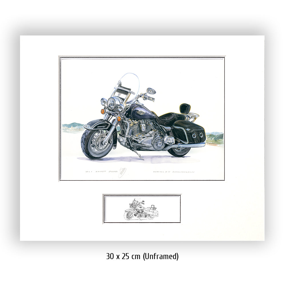 #0765 Harley Davidson