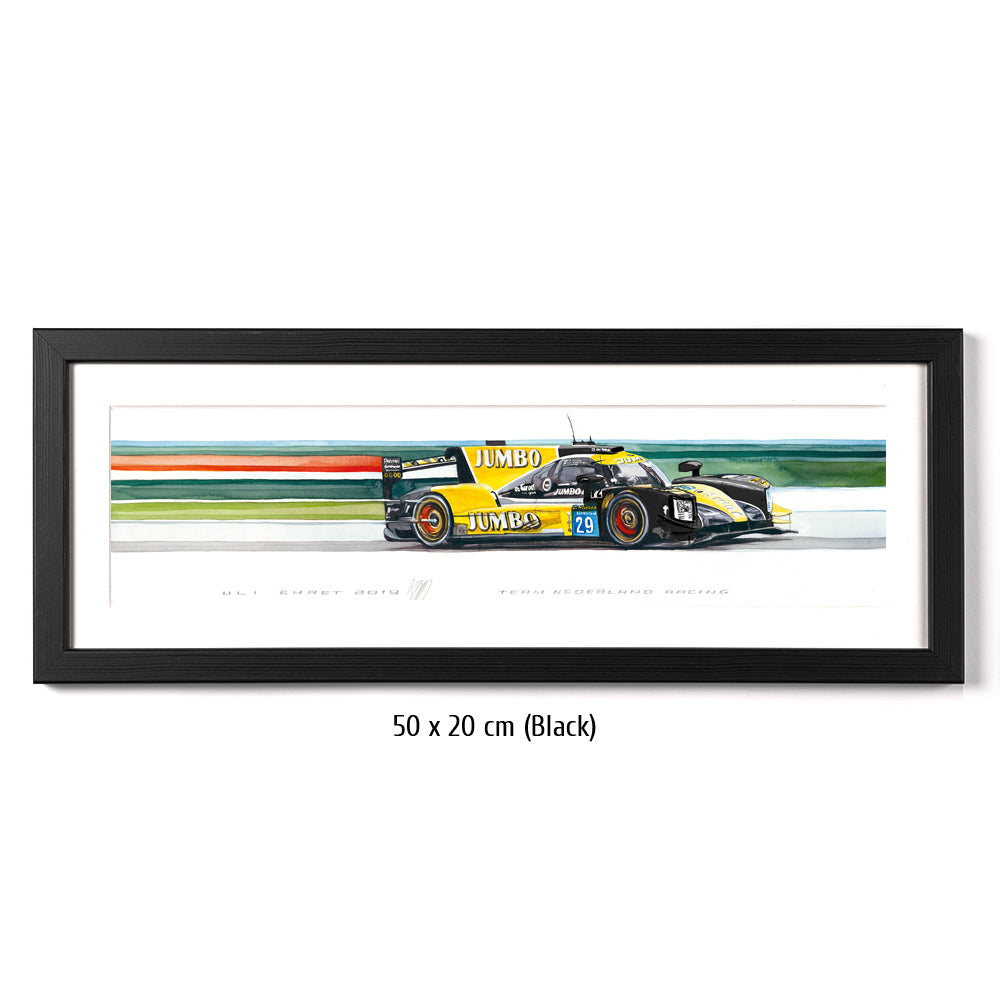 #0796 'Team Netherlands Racing