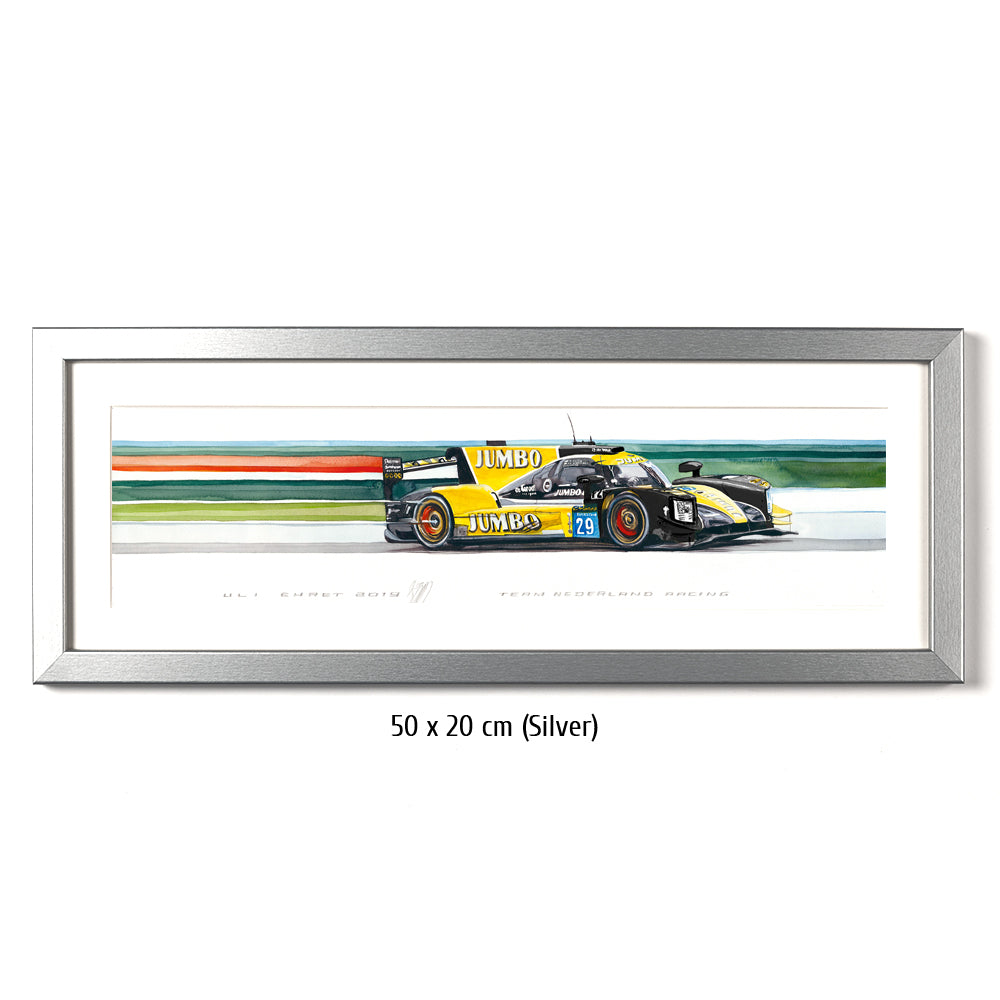 #0796 'Team Netherlands Racing