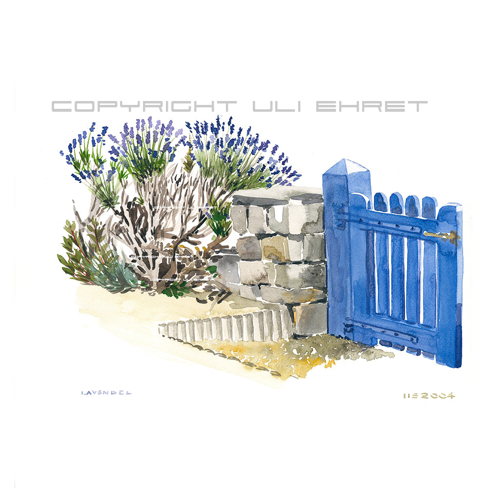 #0909 Lavande de Bretagne