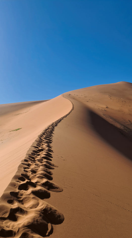 L1017 Spuren in der Namib