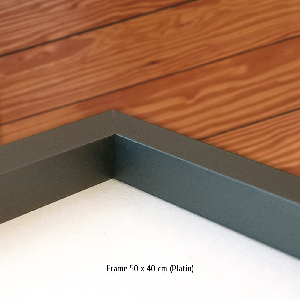 #0674 B » Vaillante Rebellion #13 «