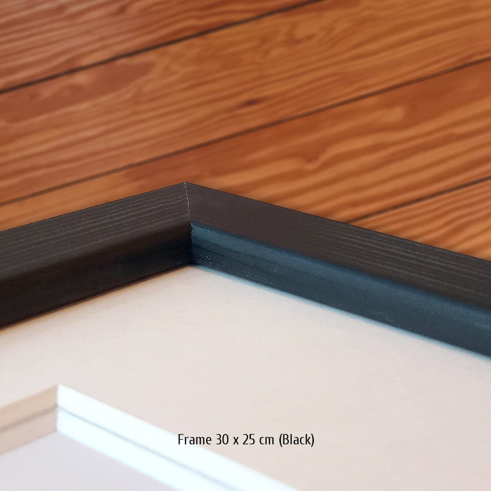 #0674 B » Vaillante Rebellion #13 «