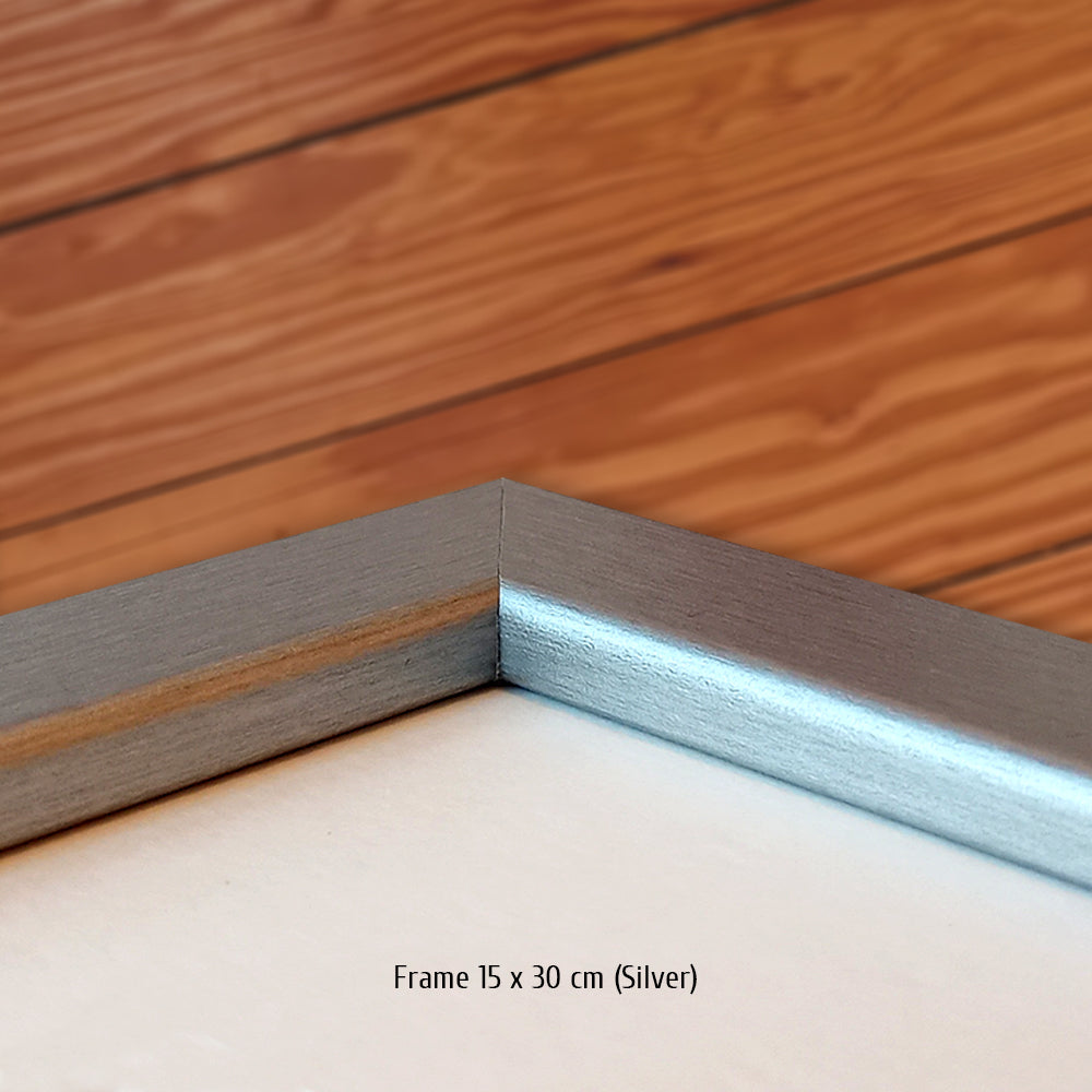 #0196 XS ""Porsche 356 C, Porsche 904, Porsche 356 A Coupé""