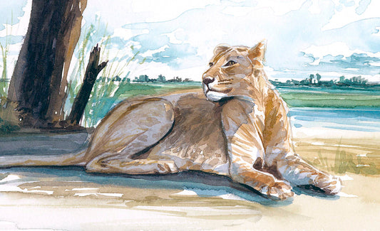 Malkurs "Tiere in Aquarell" - Freitag 25. April 2025