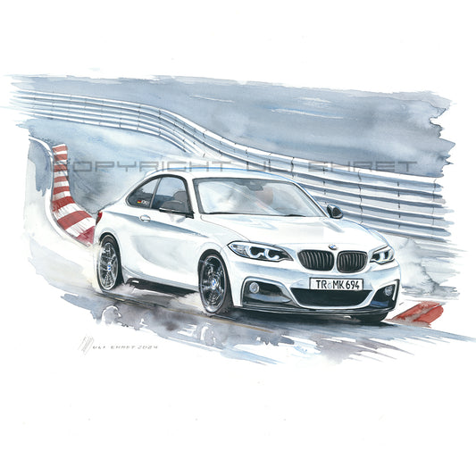 #1253 BMW M2